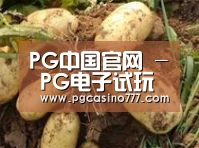 产品展示标题2