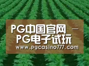 种植基地六