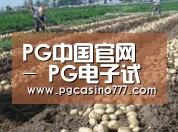 种植基地八