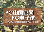 种植基地八(图1)