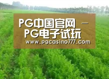 种植基地四