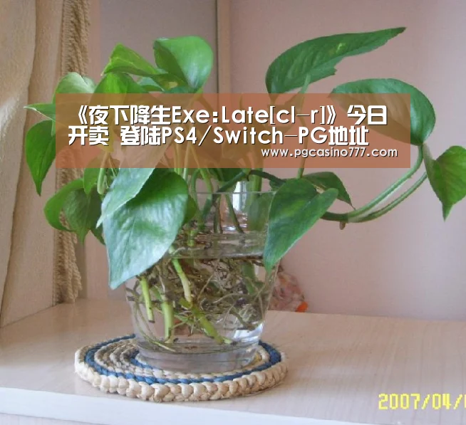 PG中国